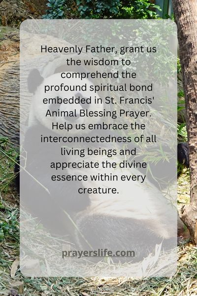 &Quot;A Spiritual Bond: Understanding The Significance Of St. Francis' Animal Blessing Prayer&Quot; 