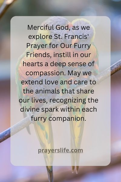 &Quot;The Power Of Compassion: Exploring St. Francis Prayer For Our Furry Friends&Quot;