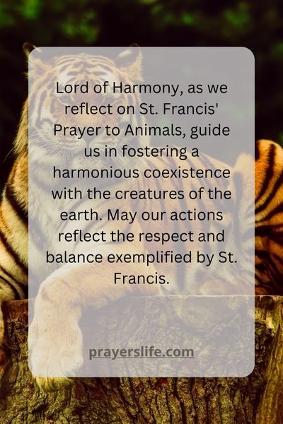 &Quot;A Call For Harmony: Reflecting On St. Francis Prayer To Animals&Quot;
