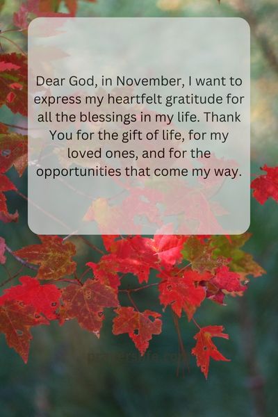 A Prayer For Gratitude In November