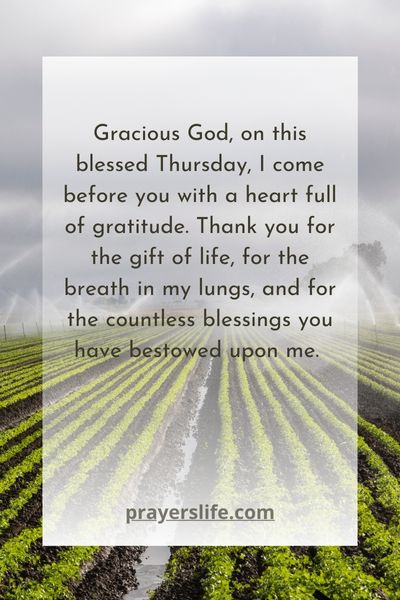 A Prayer For Thursday Gratitude