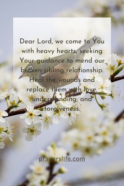 Heartfelt Prayer To Mend Broken Sibling Relationships 1