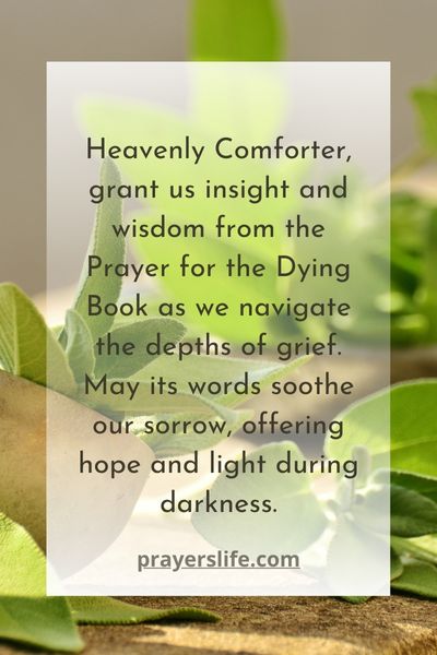 Insights From The Prayer For The Dying Book 1