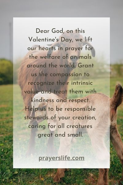 A Prayer For Compassion Toward Animals