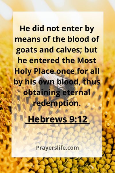 Hebrews 9:12 