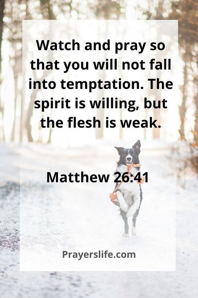 Matthew 26:41